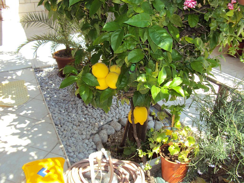 Apartment Lemon Dubrovnik Exterior photo